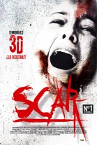 Póster de Scar 3D (Scar 3D)