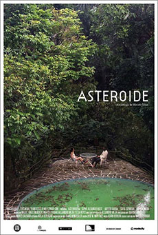 Asteroide Imagen de Asteroide