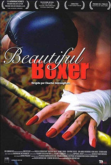 Beautiful Boxer Imagen de Beautiful Boxer