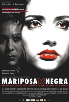 Mariposa negra Imagen de Mariposa negra