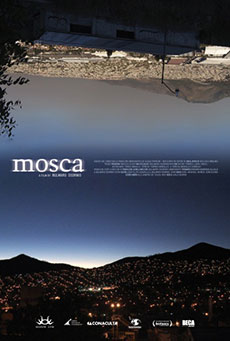 Mosca Imagen de Mosca