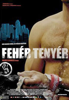 White Palms (Feher Tenyer) Imagen de White Palms (Feher Tenyer)