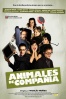 Cartel de Animales de Compa��a (Animales de Compa��a)