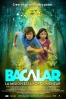 Cartel de Bacalar (Bacalar)