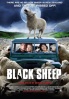 Poster de Ovejas asesinas (Black Sheep)