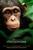 Cartel de Chimpanzee