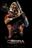Cartel de Cobra: The Space Pirate