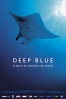 Cartel de Deep Blue