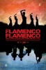 Cartel de Flamenco, flamenco (Flamenco, flamenco)