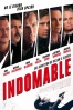 Cartel de Indomable (Haywire)