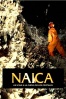 Cartel de Naica: Un viaje a la cueva de los cristales (NAICA)