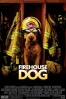 Poster de Perro Al Rescate (Firehouse Dog)