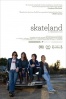 Cartel de Skateland