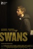 Cartel de Cisnes (Swans)