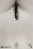 Poster de  (The Human Centipede II (Full Sequence))