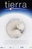 Poster de Tierra, la pel�cula de nuestro planeta (Earth)