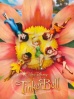 Poster de Campanilla (Tinker Bell)