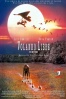 Cartel de Volando Libre (Fly Away Home )
