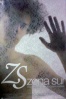 Cartel de Zona sur (Zona sur)