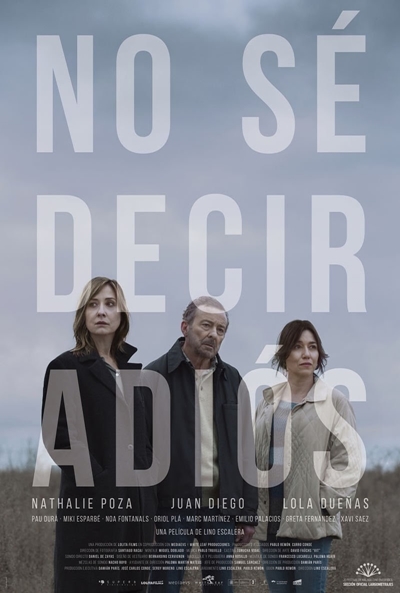 no_se_decir_adios_64239.jpg