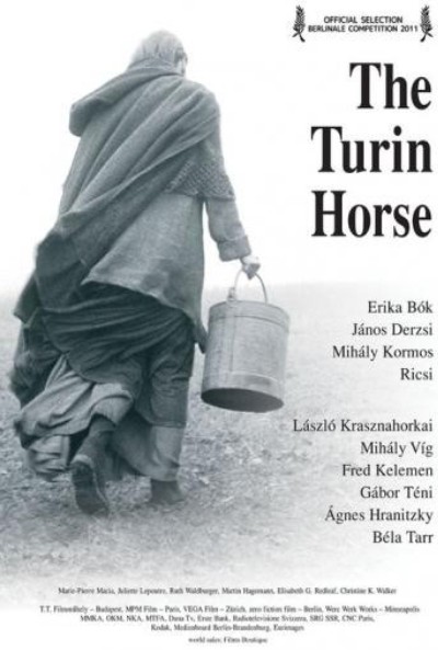 the_turin_horsee_11921.jpg
