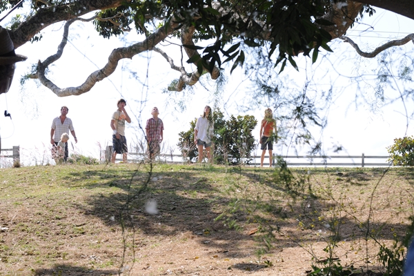 Foto de El árbol (The Tree)