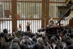 Foto de Resident Evil: Ultratumba (Resident Evil: Afterlife)
