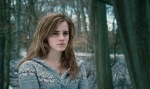 Foto de Harry Potter y las reliquias de la Muerte: Parte 1 (Harry Potter and the Deathly Hallows: Part I)