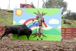 Foto de Jackass 3D (Jackass 3D)