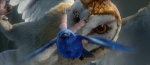 Foto de Ga'Hoole. La Leyenda de los Guardianes (Legend of the Guardians: The owls of Ga'Hoole)
