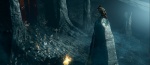 Foto de Ga'Hoole. La Leyenda de los Guardianes (Legend of the Guardians: The owls of Ga'Hoole)