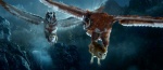 Foto de Ga'Hoole. La Leyenda de los Guardianes (Legend of the Guardians: The owls of Ga'Hoole)