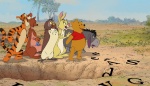 Foto de Winnie the Pooh (Winnie the Pooh)