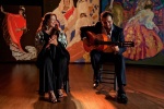 Foto de Flamenco, flamenco (Flamenco, flamenco)