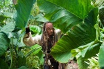Foto de Piratas del Caribe: En mareas misteriosas (Pirates of the Caribbean: On Stranger Tides)