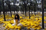 Foto de Women Without Men (Women Without Men)