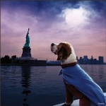 Foto de SuperDog (Underdog)
