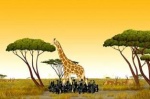 Foto de Kirikou y las bestias salvajes (Kirikou et les b�tes sauvages)