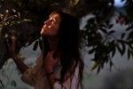 Foto de El �rbol (The Tree)