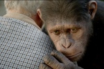 Foto de El origen del Planeta de los Simios (Rise of the Planet of the Apes)