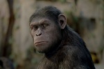 Foto de El origen del Planeta de los Simios (Rise of the Planet of the Apes)