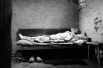Foto de The Turin Horse (A Torin�i l�)
