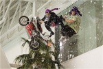 Foto de  (Christmas in Wonderland)