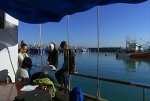 Foto de Palabras que Vienen del Mar (Palabras que Vienen del Mar)
