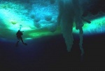 Foto de Encuentros en el Fin del Mundo (Encounters at the End of The World)