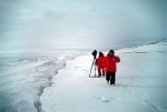 Foto de Encuentros en el Fin del Mundo (Encounters at the End of The World)