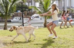 Foto de Una pareja de tres (Marley & Me)