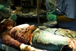Foto de  (Halloween II)