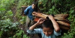 Foto de Los herederos (Los herederos)