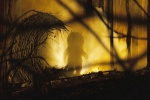 Foto de Donde Viven los Monstruos (Where The Wild Things Are)